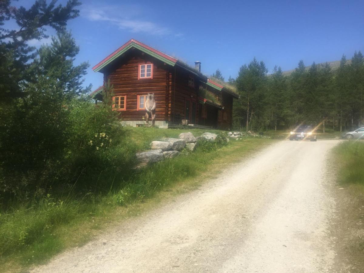 Rondane Sollia Friluftsliv Ovre Nordli Villa Ngoại thất bức ảnh